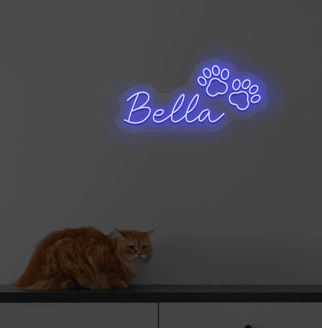 Personalized Pet Name neon sign in blue color mounted on modern wall.